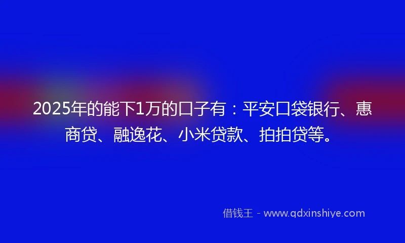 2025年的能下1万的口子有：平安口袋银行、惠商贷、融逸花、小米贷款、拍拍贷等。