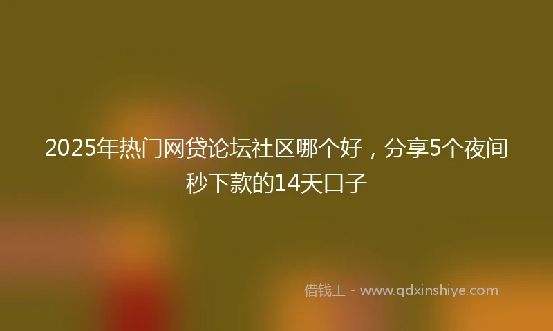 2025年热门网贷论坛社区哪个好，分享5个夜间秒下款的14天口子