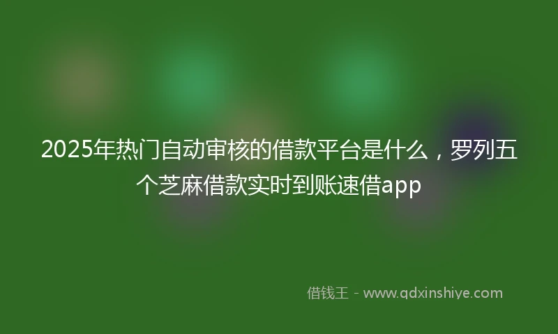 2025年热门自动审核的借款平台是什么，罗列五个芝麻借款实时到账速借app