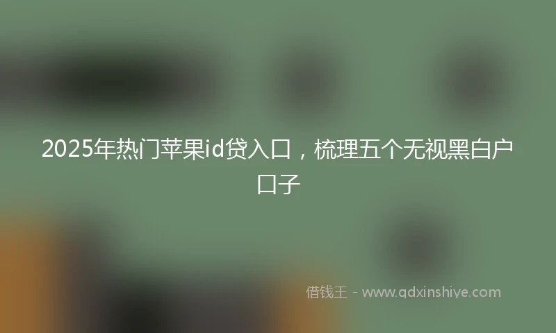 2025年热门苹果id贷入口，梳理五个无视黑白户口子