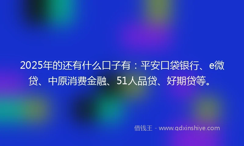 2025年的还有什么口子有：平安口袋银行、e微贷、中原消费金融、51人品贷、好期贷等。