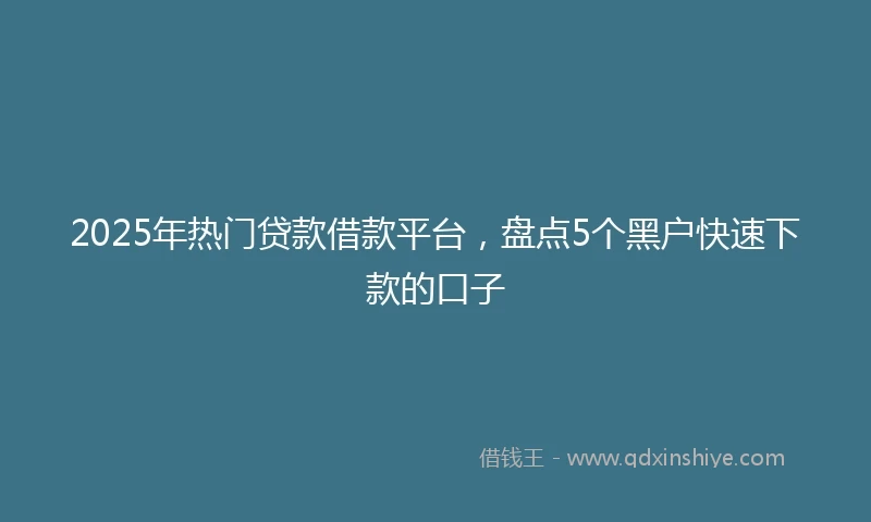 2025年热门贷款借款平台，盘点5个黑户快速下款的口子