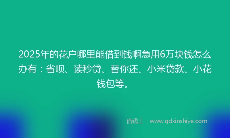 2025年的花户哪里能借到钱啊急用6万块钱怎么办有：省呗、读秒贷、替你还、小米贷款、小花钱包等。