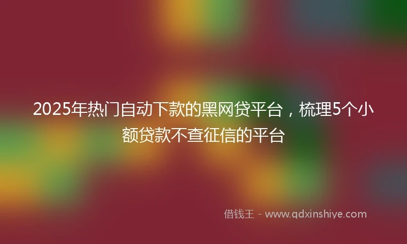 2025年热门自动下款的黑网贷平台，梳理5个小额贷款不查征信的平台