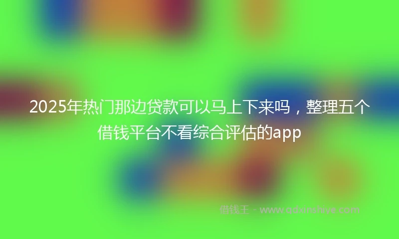 2025年热门那边贷款可以马上下来吗，整理五个借钱平台不看综合评估的app
