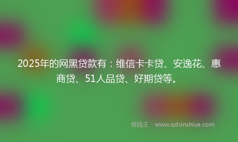 2025年的网黑贷款有：维信卡卡贷、安逸花、惠商贷、51人品贷、好期贷等。