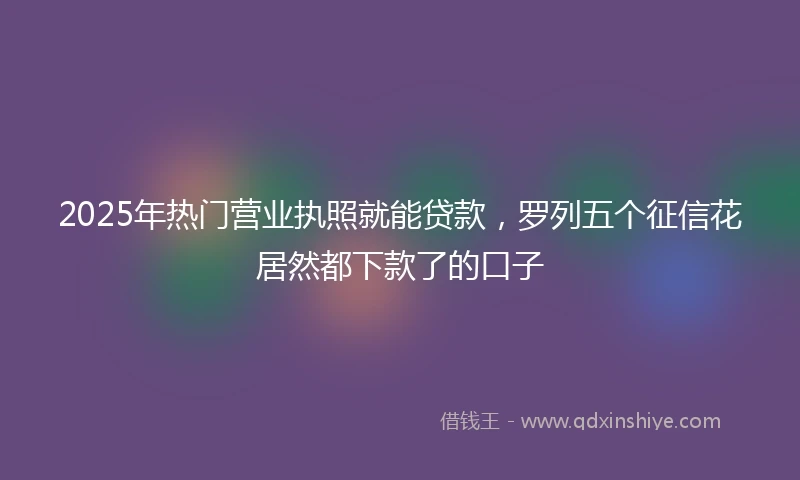 2025年热门营业执照就能贷款，罗列五个征信花居然都下款了的口子