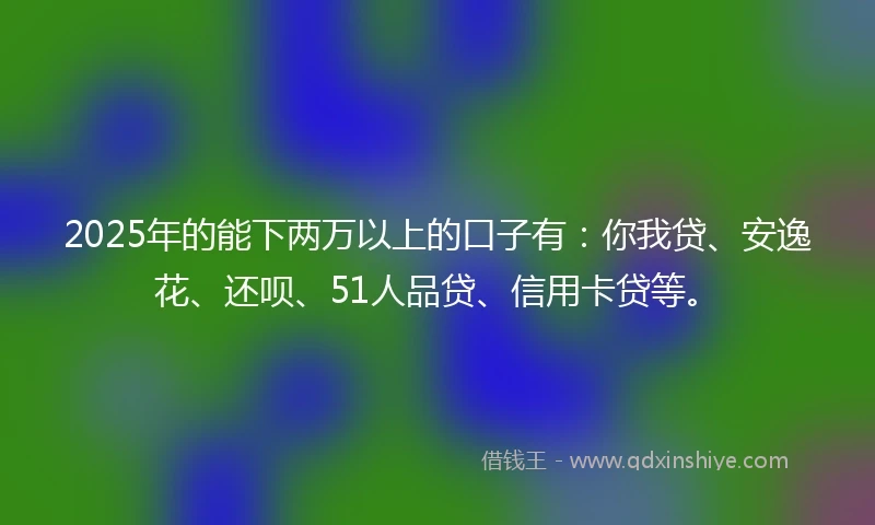 2025年的能下两万以上的口子有：你我贷、安逸花、还呗、51人品贷、信用卡贷等。