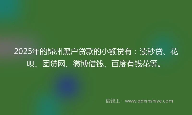 2025年的锦州黑户贷款的小额贷有：读秒贷、花呗、团贷网、微博借钱、百度有钱花等。