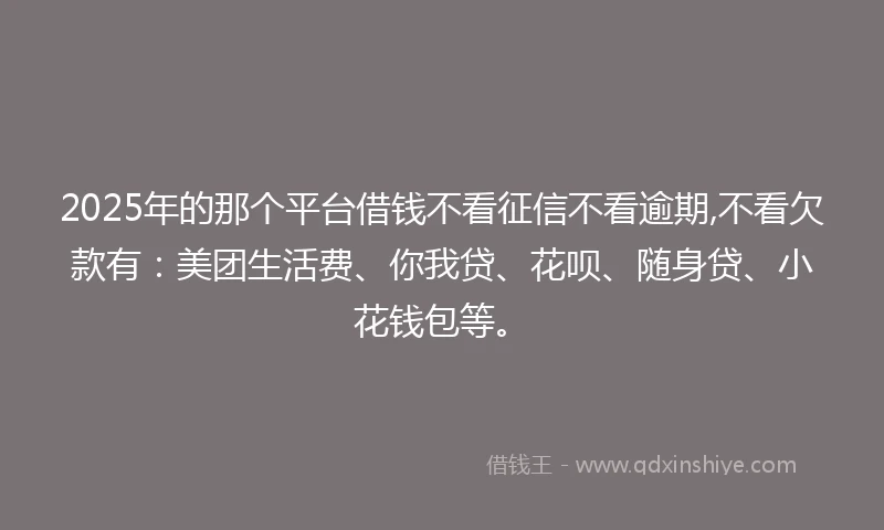 2025年的那个平台借钱不看征信不看逾期,不看欠款有：美团生活费、你我贷、花呗、随身贷、小花钱包等。