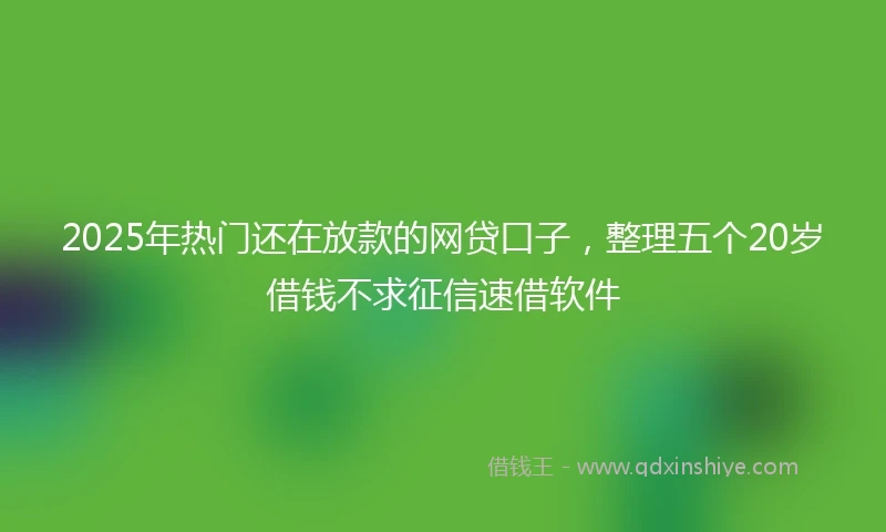 2025年热门还在放款的网贷口子，整理五个20岁借钱不求征信速借软件