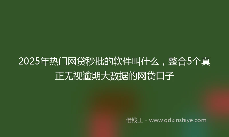 2025年热门网贷秒批的软件叫什么，整合5个真正无视逾期大数据的网贷口子