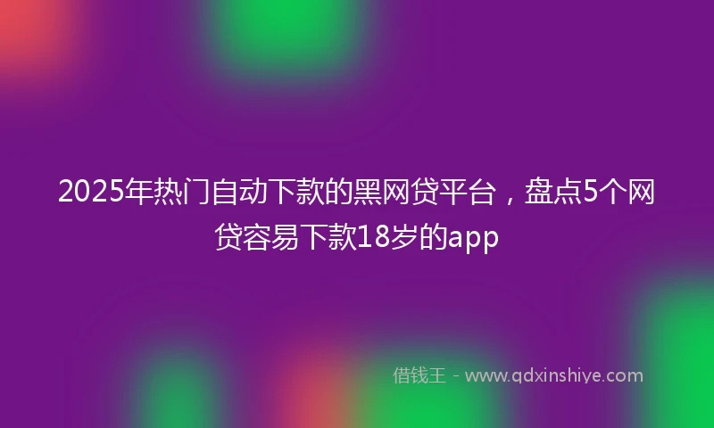 2025年热门自动下款的黑网贷平台，盘点5个网贷容易下款18岁的app