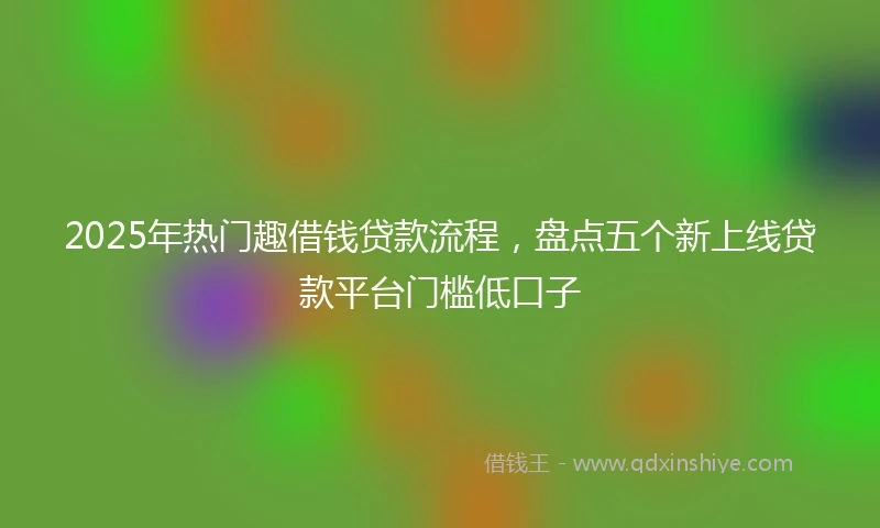 2025年热门趣借钱贷款流程，盘点五个新上线贷款平台门槛低口子