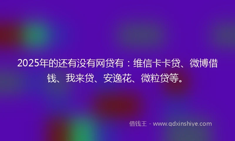 2025年的还有没有网贷有：维信卡卡贷、微博借钱、我来贷、安逸花、微粒贷等。