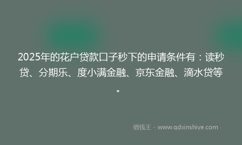 2025年的花户贷款口子秒下的申请条件有：读秒贷、分期乐、度小满金融、京东金融、滴水贷等。
