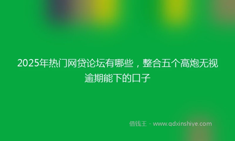 2025年热门网贷论坛有哪些，整合五个高炮无视逾期能下的口子