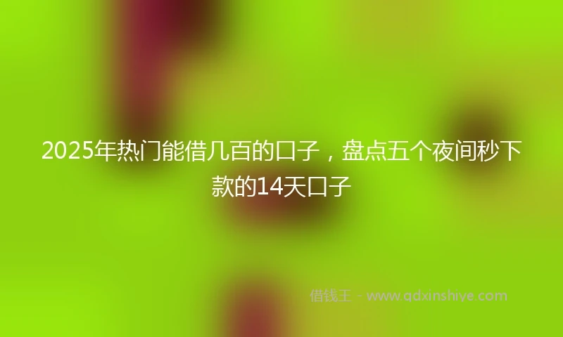 2025年热门能借几百的口子，盘点五个夜间秒下款的14天口子