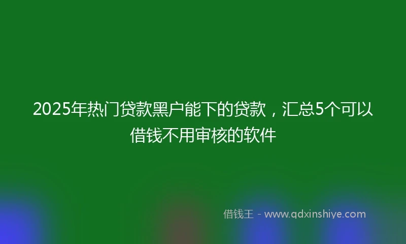 2025年热门贷款黑户能下的贷款，汇总5个可以借钱不用审核的软件
