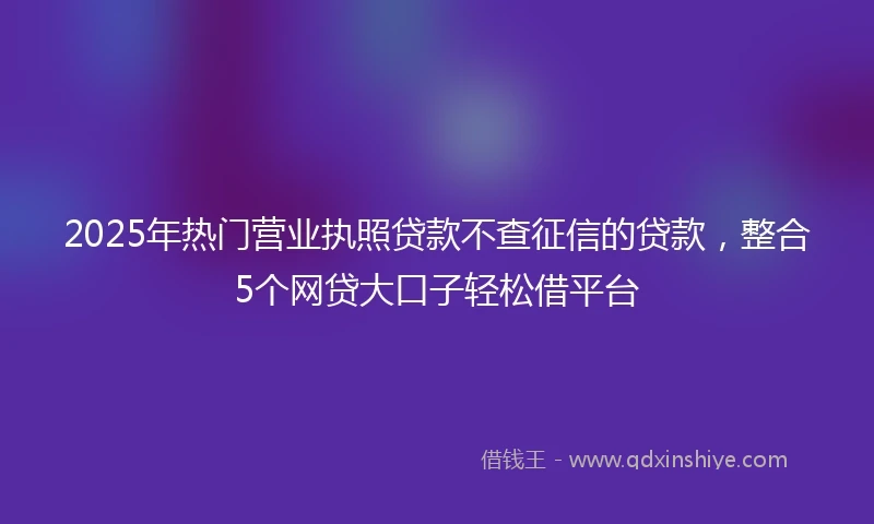 2025年热门营业执照贷款不查征信的贷款，整合5个网贷大口子轻松借平台