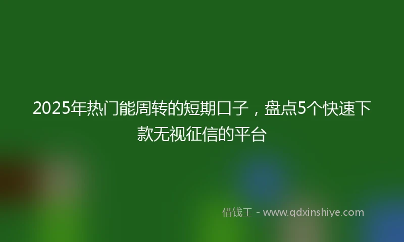 2025年热门能周转的短期口子，盘点5个快速下款无视征信的平台