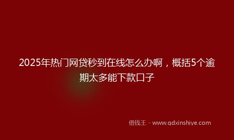2025年热门网贷秒到在线怎么办啊，概括5个逾期太多能下款口子