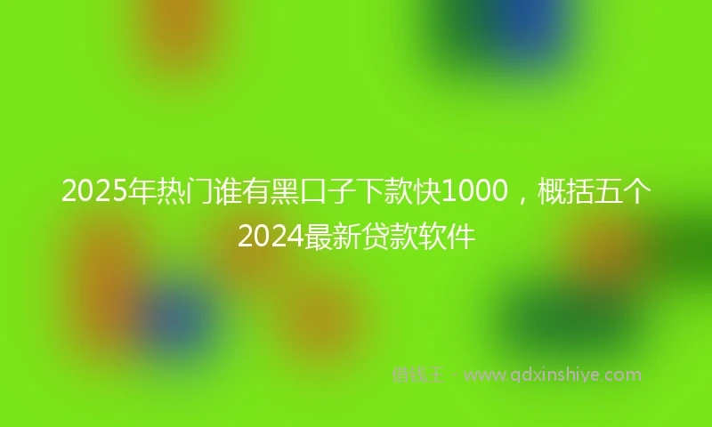 2025年热门谁有黑口子下款快1000，概括五个2024最新贷款软件