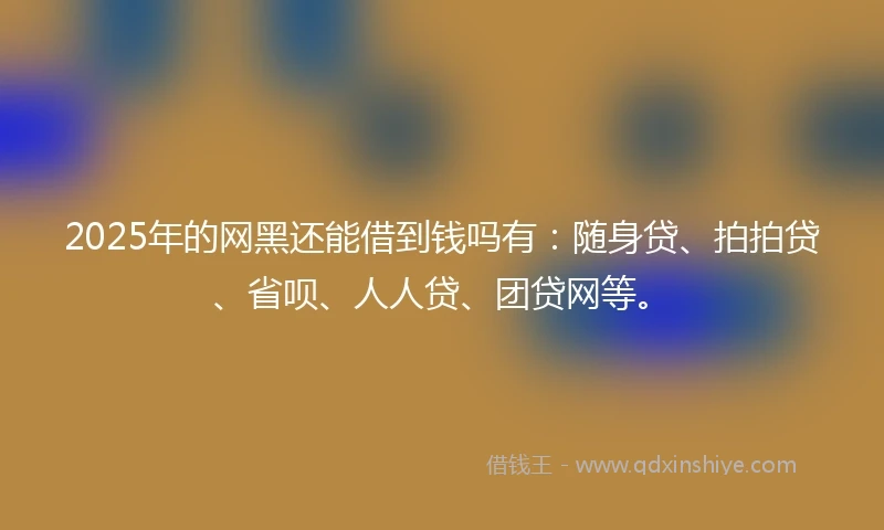2025年的网黑还能借到钱吗有：随身贷、拍拍贷、省呗、人人贷、团贷网等。