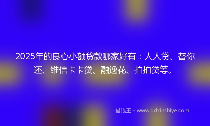 2025年的良心小额贷款哪家好有：人人贷、替你还、维信卡卡贷、融逸花、拍拍贷等。