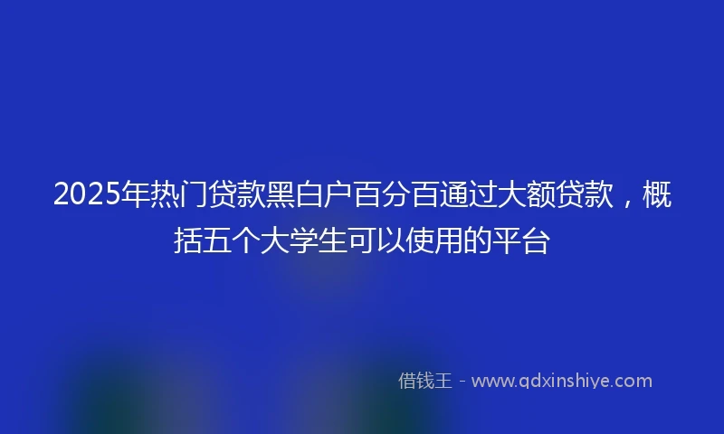2025年热门贷款黑白户百分百通过大额贷款，概括五个大学生可以使用的平台