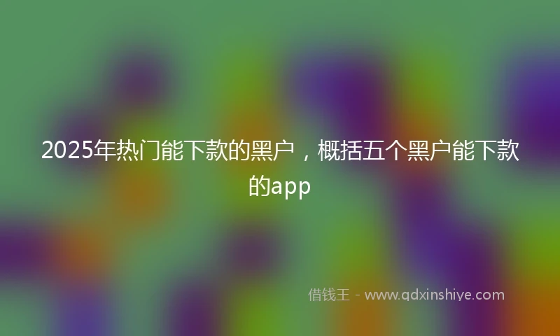2025年热门能下款的黑户，概括五个黑户能下款的app