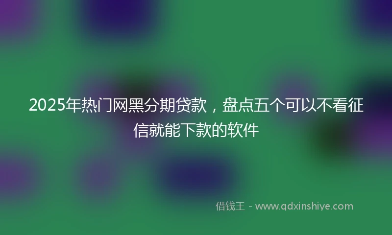 2025年热门网黑分期贷款，盘点五个可以不看征信就能下款的软件
