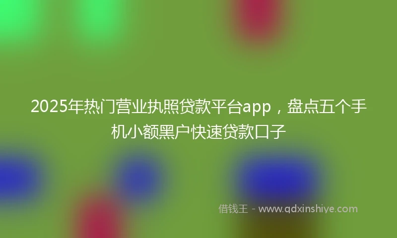 2025年热门营业执照贷款平台app，盘点五个手机小额黑户快速贷款口子