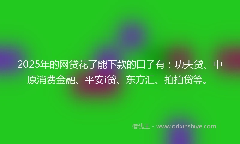 2025年的网贷花了能下款的口子有：功夫贷、中原消费金融、平安i贷、东方汇、拍拍贷等。
