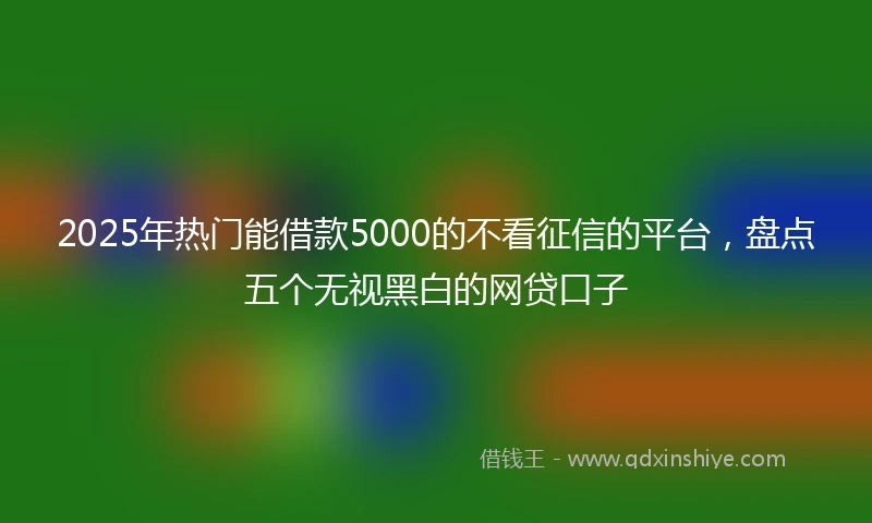 2025年热门能借款5000的不看征信的平台，盘点五个无视黑白的网贷口子