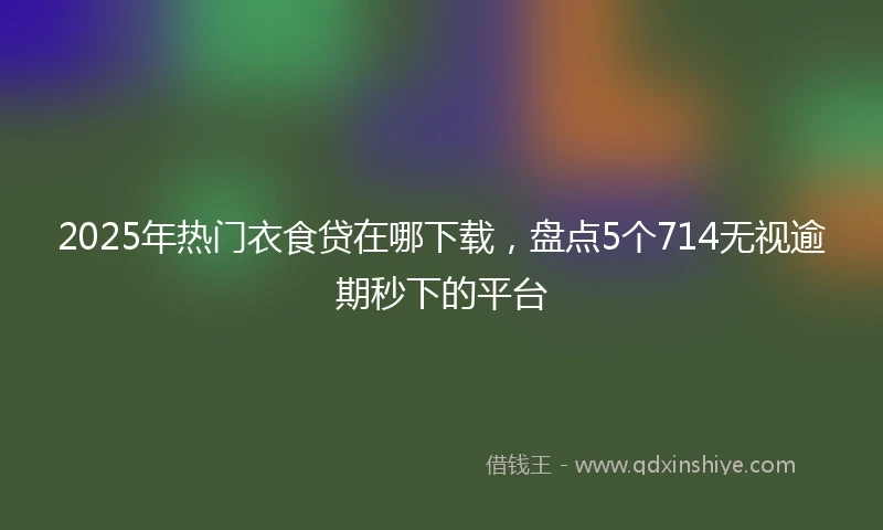 2025年热门衣食贷在哪下载，盘点5个714无视逾期秒下的平台