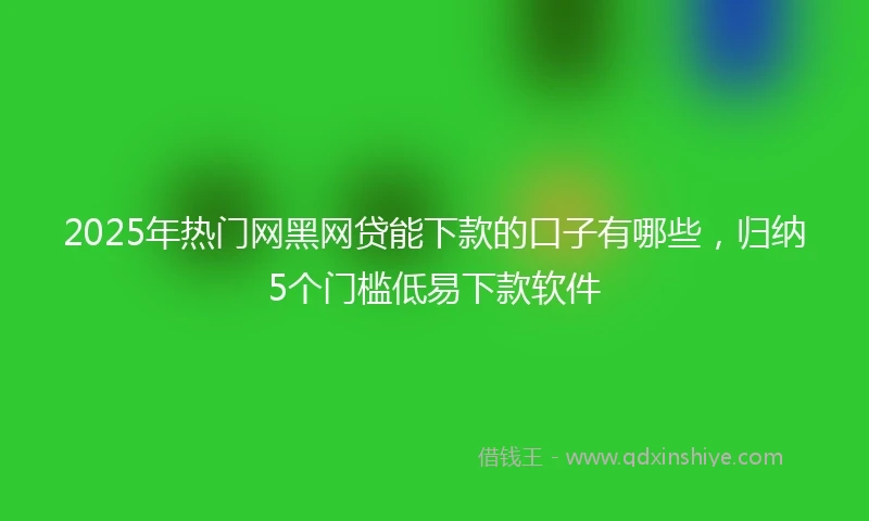 2025年热门网黑网贷能下款的口子有哪些，归纳5个门槛低易下款软件