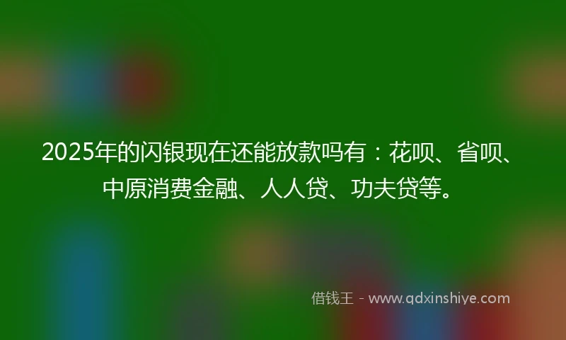 2025年的闪银现在还能放款吗有：花呗、省呗、中原消费金融、人人贷、功夫贷等。