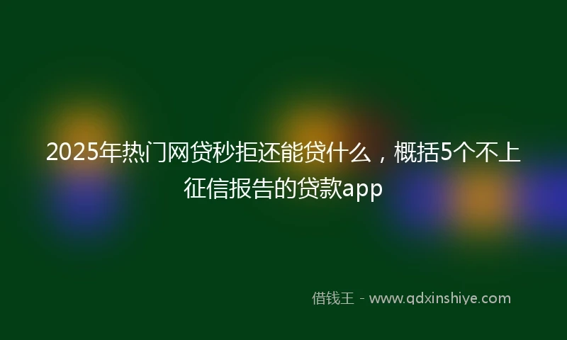 2025年热门网贷秒拒还能贷什么，概括5个不上征信报告的贷款app