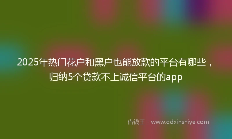 2025年热门花户和黑户也能放款的平台有哪些，归纳5个贷款不上诚信平台的app