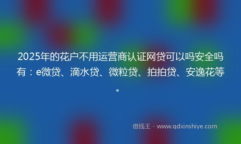 2025年的花户不用运营商认证网贷可以吗安全吗有：e微贷、滴水贷、微粒贷、拍拍贷、安逸花等。