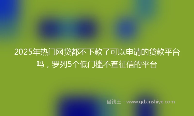 2025年热门网贷都不下款了可以申请的贷款平台吗，罗列5个低门槛不查征信的平台