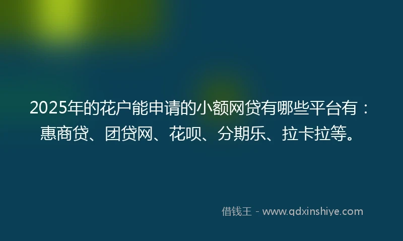 2025年的花户能申请的小额网贷有哪些平台有：惠商贷、团贷网、花呗、分期乐、拉卡拉等。