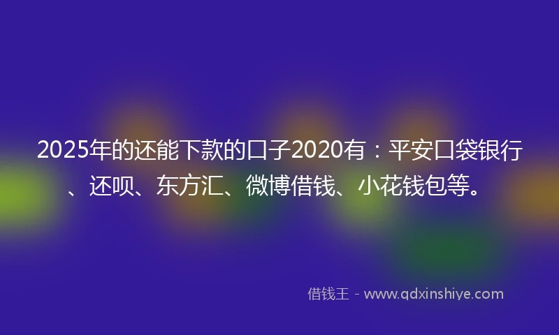2025年的还能下款的口子2020有：平安口袋银行、还呗、东方汇、微博借钱、小花钱包等。
