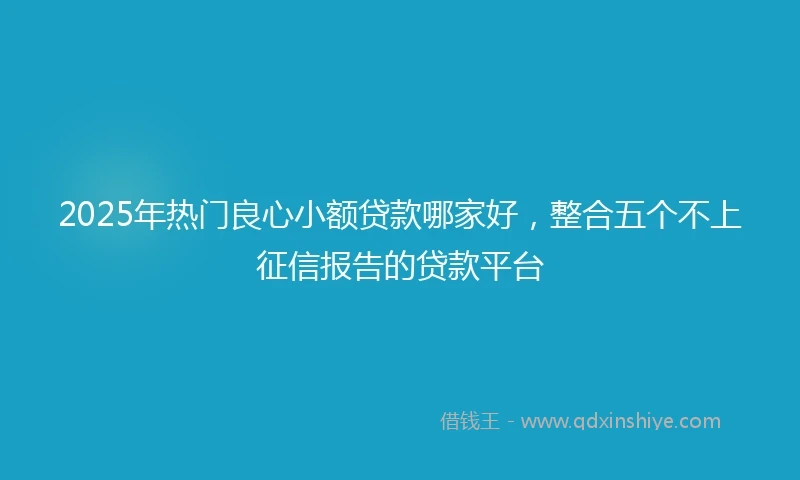 2025年热门良心小额贷款哪家好，整合五个不上征信报告的贷款平台