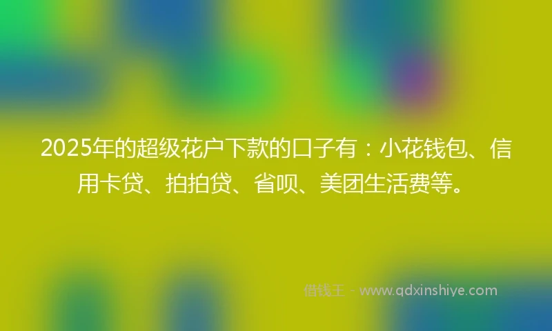 2025年的超级花户下款的口子有：小花钱包、信用卡贷、拍拍贷、省呗、美团生活费等。