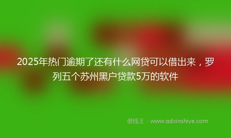2025年热门逾期了还有什么网贷可以借出来，罗列五个苏州黑户贷款5万的软件