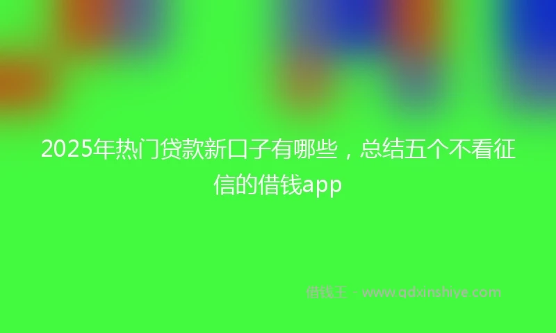 2025年热门贷款新口子有哪些，总结五个不看征信的借钱app