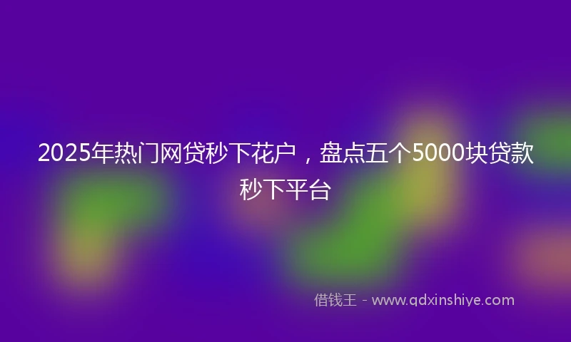 2025年热门网贷秒下花户，盘点五个5000块贷款秒下平台