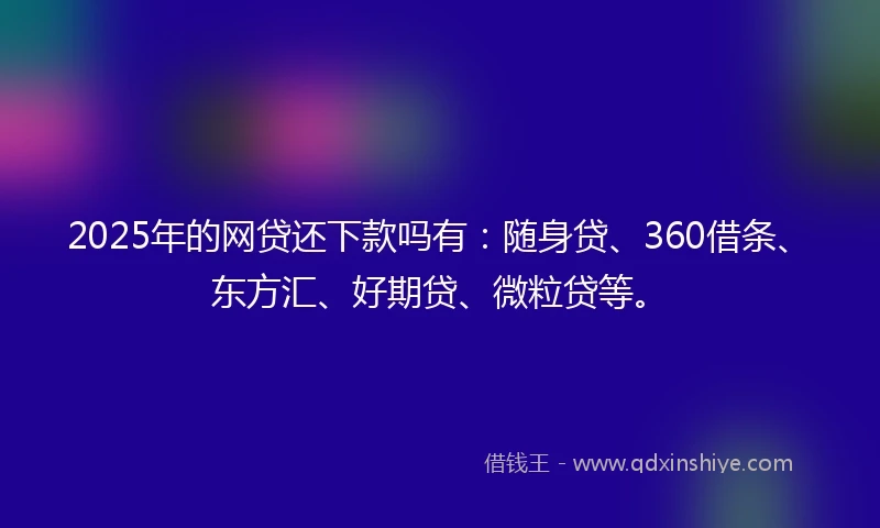 2025年的网贷还下款吗有：随身贷、360借条、东方汇、好期贷、微粒贷等。